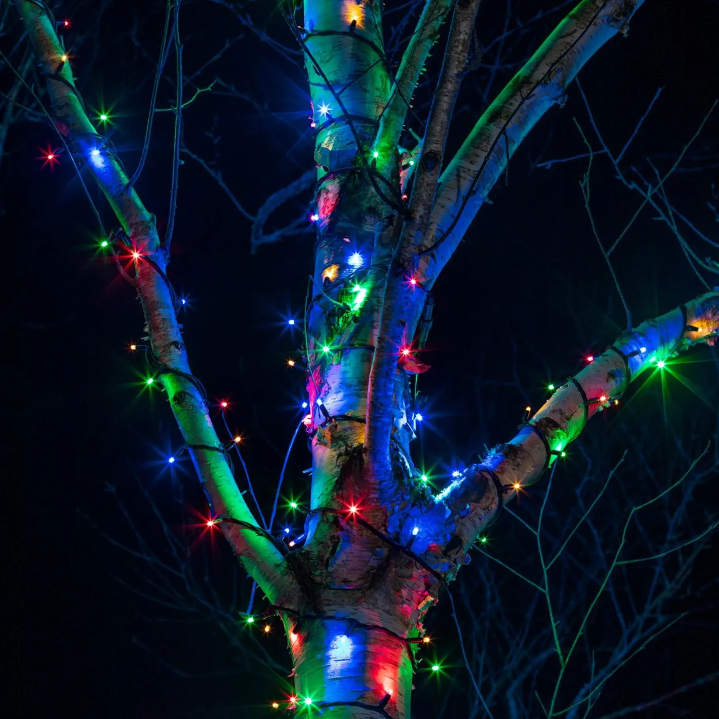 Pro Connect 5m 50 Multi Coloured Connectable String Lights Black Cable ...